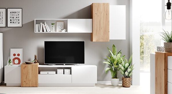 Aranżacja wnętrza z białą szafką RTV i dekoracyjną rośliną