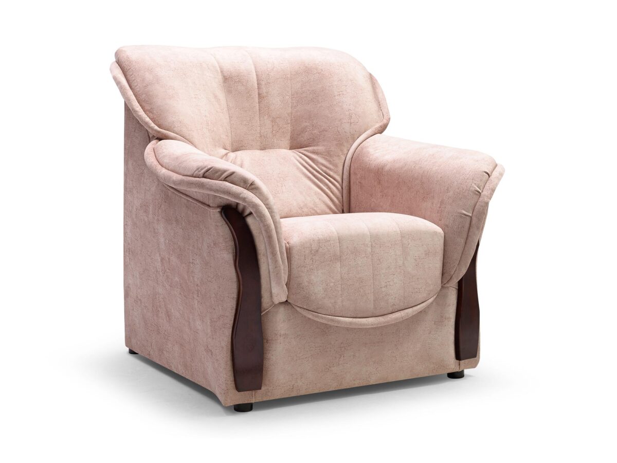 Fotel Do Salonu TATUI