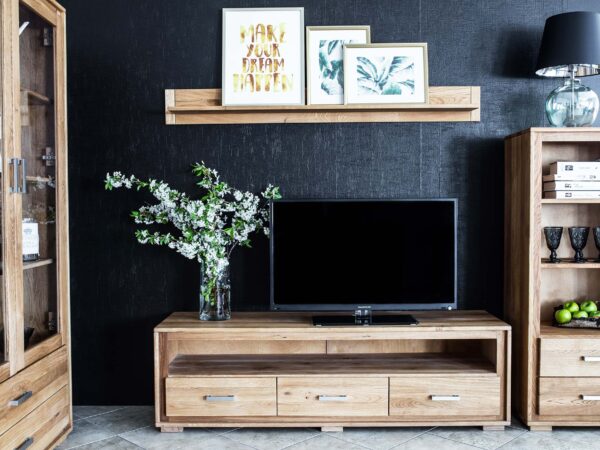 Szafka RTV z szufladami i wiszącą półką z rośliną