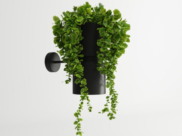 Aranżacja kuchni z nowoczesnymi lampami z żywą zielenią