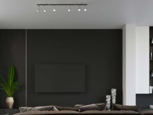 miniaturka Elegancki i funkcjonalny Plafon RING 4L