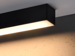 miniaturka PINNE 200 Plafon do Biura i Domu