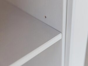 miniaturka Przeszklona Klasyczna Witryna 2D w Bieli Petra