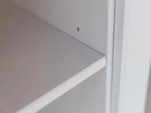 miniaturka Biała Witryna Sosna Fińska z Cichym Domykiem  Petra