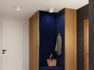 miniaturka Minimalistyczny Plafon ALBA – Kolory: Biały Czarny Szary Złoty 10W LED