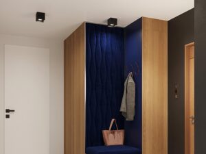 miniaturka Minimalistyczny Plafon ALBA – Kolory: Biały Czarny Szary Złoty 10W LED