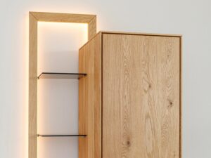 miniaturka Nowoczesna Witryna z Regałem Zenovia