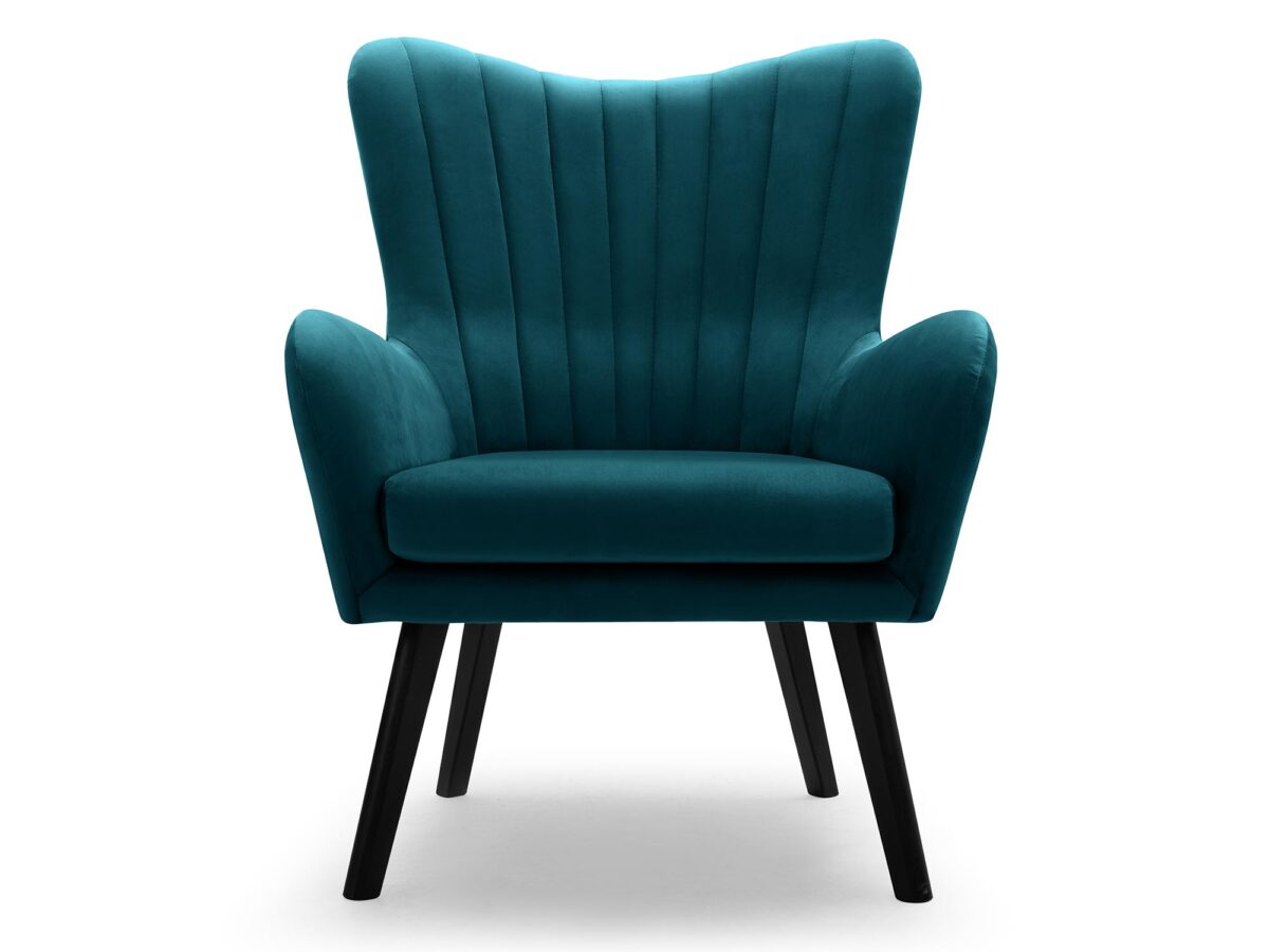 Designerski Fotel Terra do Salonu