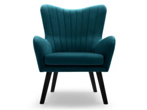 Designerski Fotel Terra do Salonu