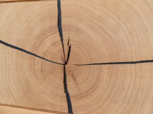 miniaturka Modernistyczna Szafka RTV z Plastrem Drewna Valora