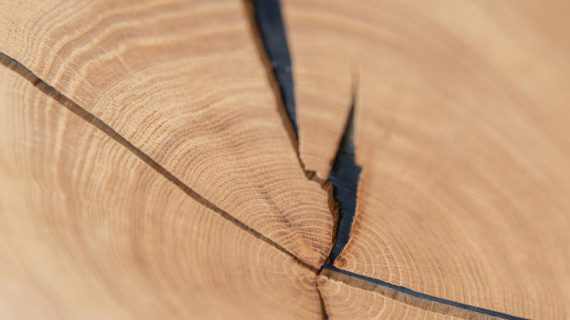 miniaturka Komoda Valora do Salonu Dębowa