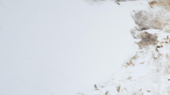 miniaturka Zestaw Stoliki Kawowe Złota Podstawa Biały Marmur – Virtus