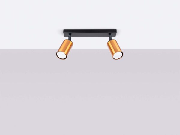 Lampa sufitowa dwupunktowa czarno-złota z regulowanymi reflektorami