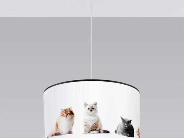 Biała lampa wisząca z fotografiami kotów duża na szarym tle