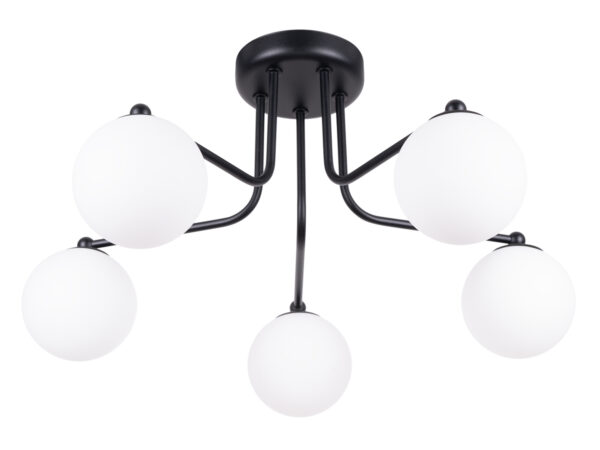 Czarna lampa sufitowa pięcioramienna z białymi kloszami kulowymi