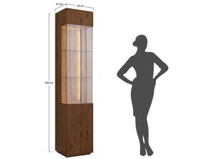 miniaturka Minimalistyczna witryna 1-drzwiowa drewniana Essentia