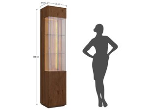 miniaturka Industrialna witryna 1-drzwiowa drewniana Essentia