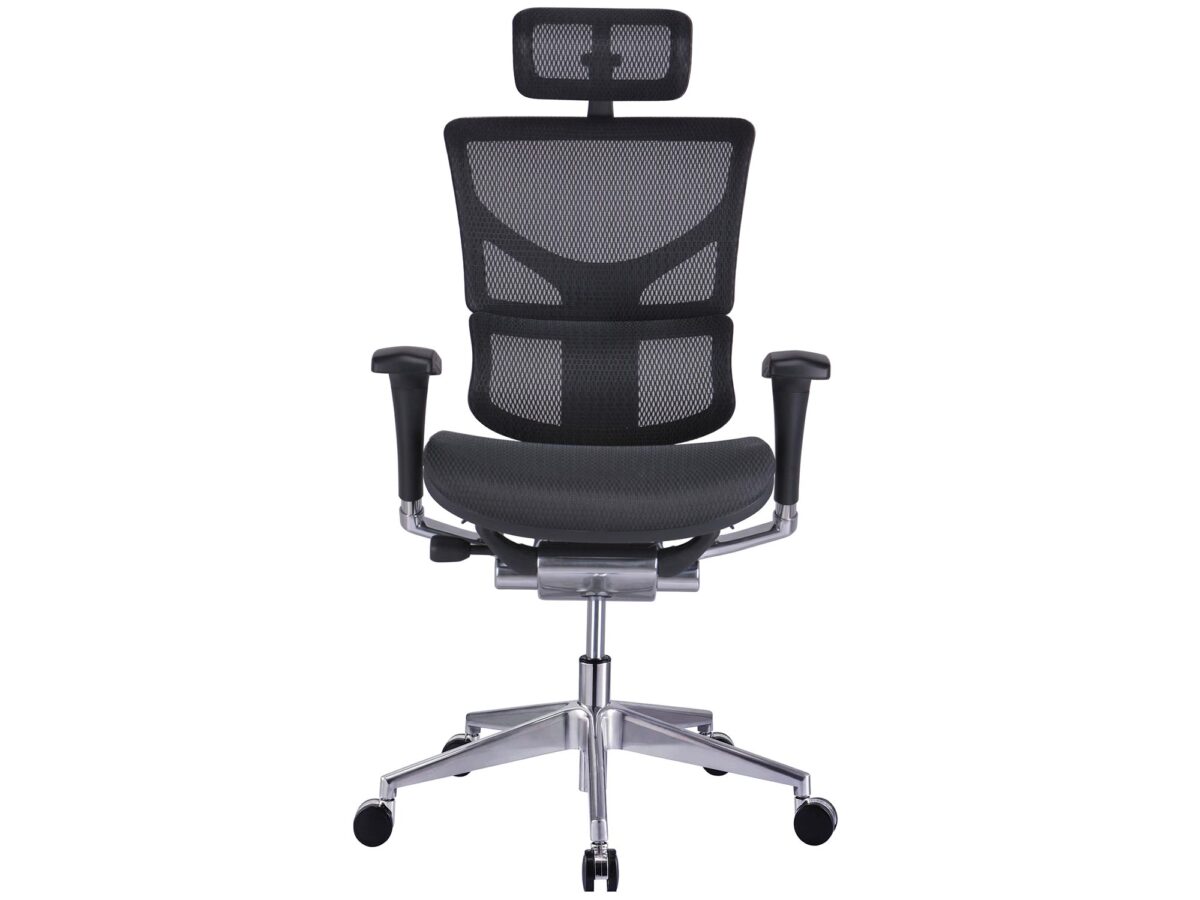 Ergonomiczny fotel obrotowy ERGOFLY Sail Alum T-01 Black