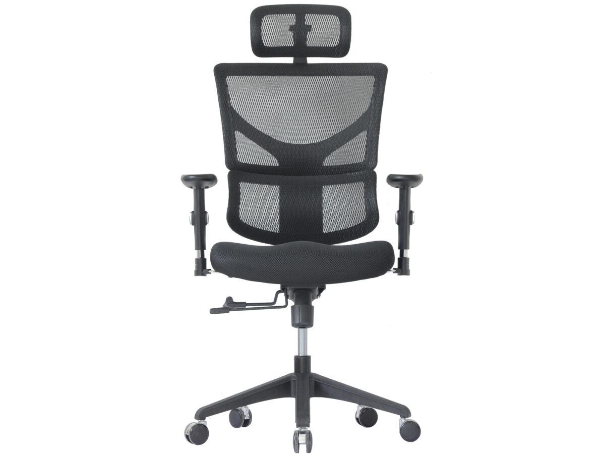 Ergonomiczny fotel komputerowy ERGOFLY Sail-E T-01 Black