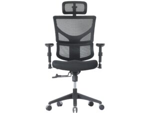 Ergonomiczny fotel komputerowy ERGOFLY Sail-E T-01 Black