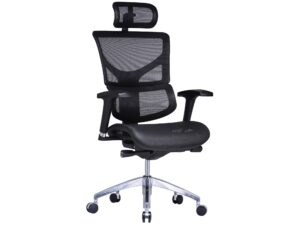 miniaturka Ergonomiczny fotel biurowy ERGOFLY Sail T-01 Black