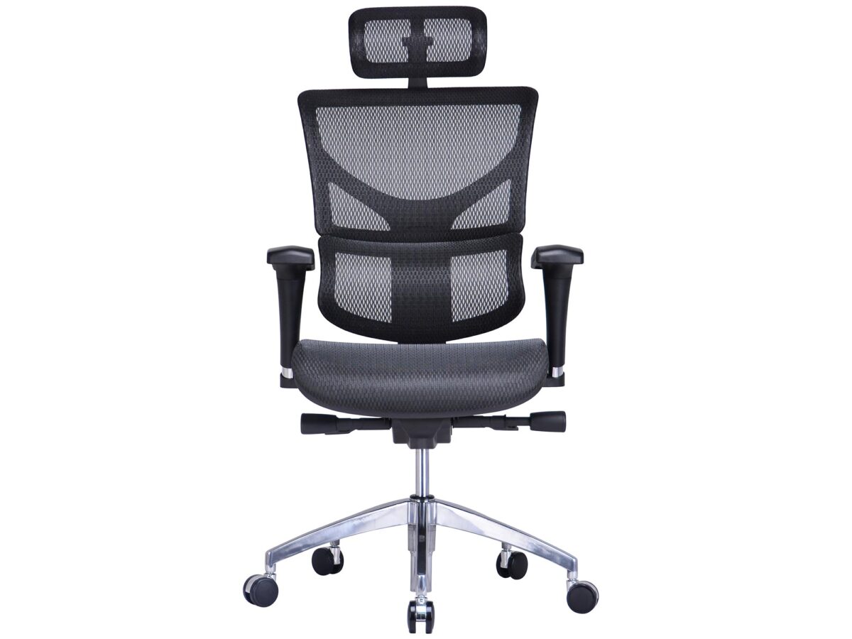 Ergonomiczny fotel biurowy ERGOFLY Sail T-01 Black