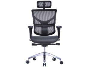 Ergonomiczny fotel biurowy ERGOFLY Sail T-01 Black