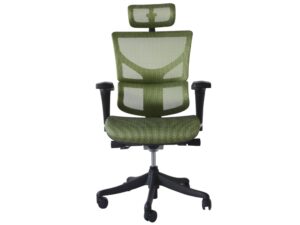 Fotel ergonomiczny biurowy ERGOFLY Sail T-05 Green