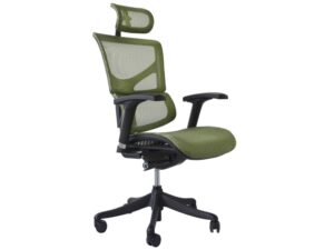 miniaturka Fotel ergonomiczny biurowy ERGOFLY Sail T-05 Green