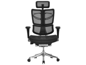 Biurkowy fotel ergonomiczny ERGOFLY Fly T-01 Black