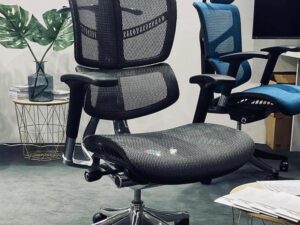 miniaturka Biurkowy fotel ergonomiczny ERGOFLY Fly T-01 Black