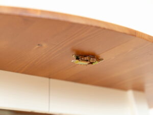 miniaturka Regulowany stół 50 cm klasyczny Ingrid