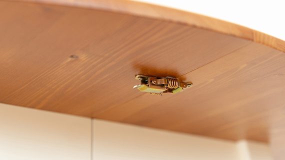 miniaturka Regulowany stół 50 cm klasyczny Ingrid