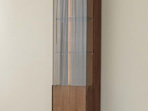 miniaturka Minimalistyczna witryna 1-drzwiowa drewniana Essentia