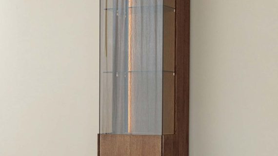 miniaturka Minimalistyczna witryna 1-drzwiowa drewniana Essentia