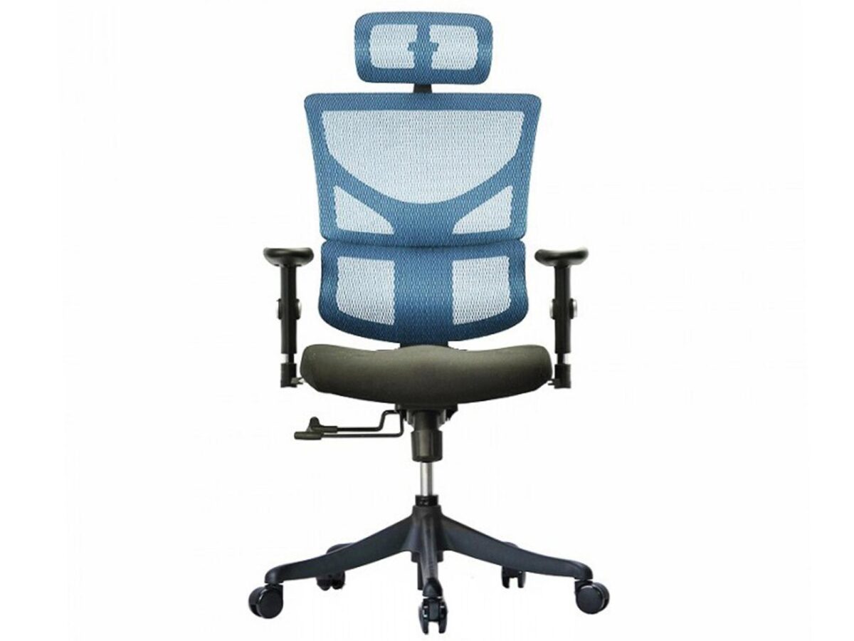 Ergonomiczny fotel biurowy ERGOFLY Sail-E T-04 Blue